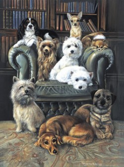 A Dog's Life By: Polly Anna Pickering